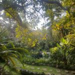 Bali1