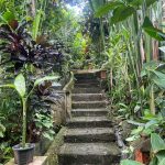 Bali3