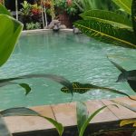 Bali5